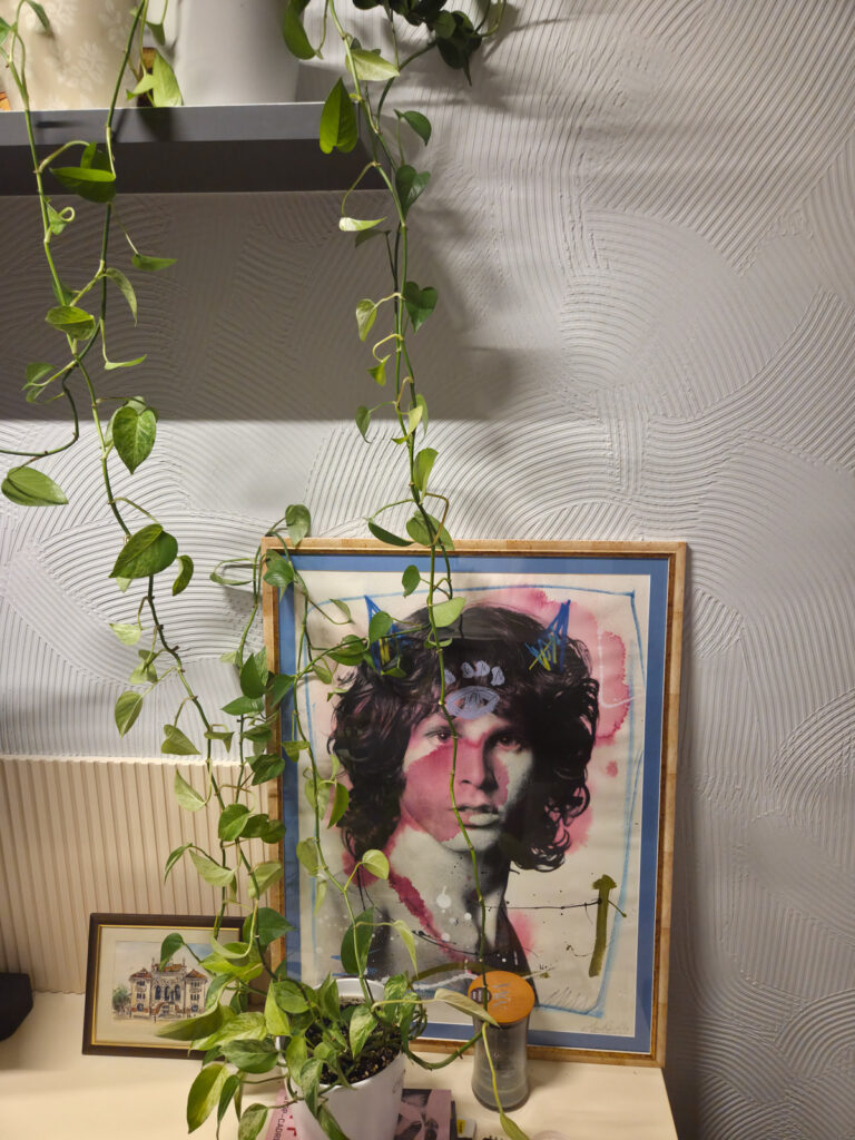 pothos vines trailing from shelf low light apartment